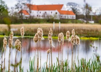 Herregården Odden. Foto (arkiv): Elling.