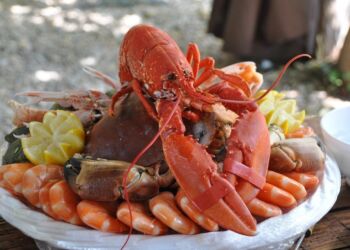 Skaldyr. Foto: Pixabay.