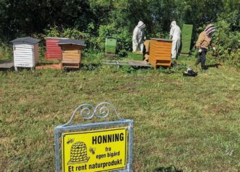 Bistader hos Vendsyssel Historiske Museum i Mosbjerg. Foto: VHM.