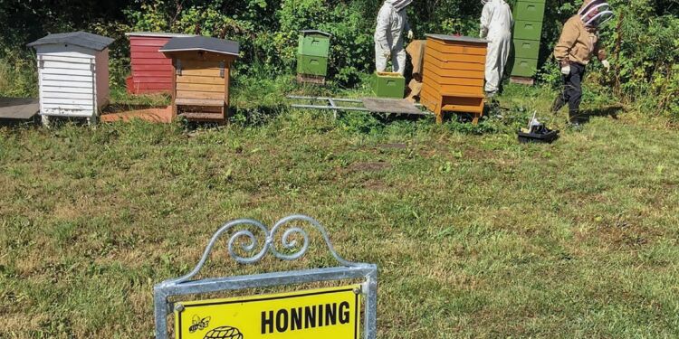 Bistader hos Vendsyssel Historiske Museum i Mosbjerg. Foto: VHM.