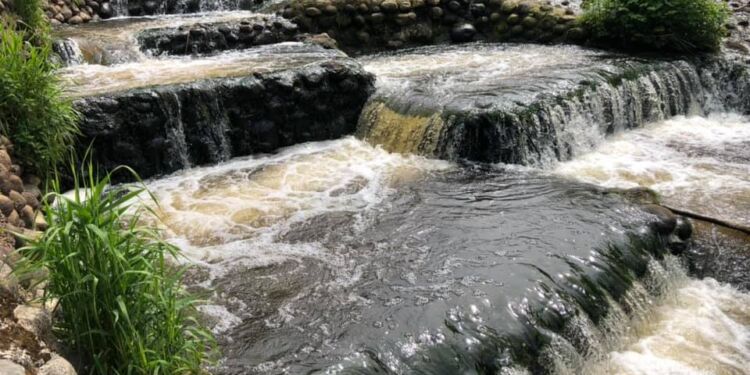 Fisketrappen ved Bindslev Gl. Elværk. Foto: Arkiv.