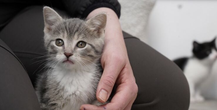 Thomas Degner (03-05-2021): Reserveret til bærende lanceringscase i Sommerven 2021. Billederne må KUN bruge i forbindelse med dette.