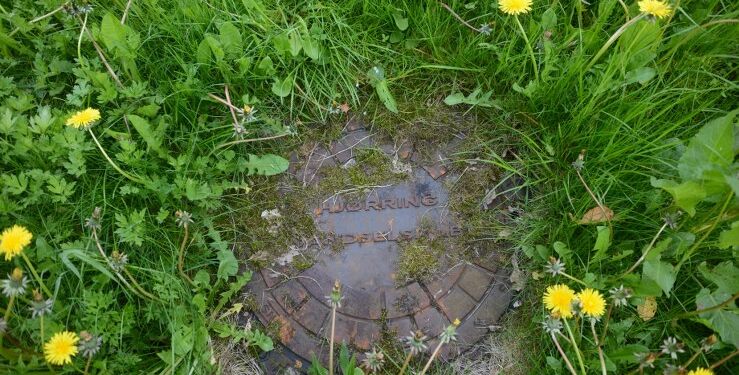 Foto: Hjørring Vandselskab.