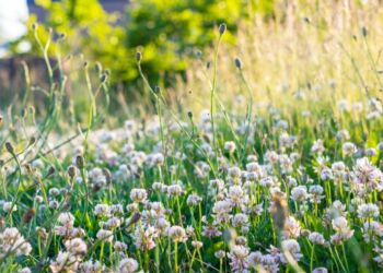 Foto af: Simon Lundsgaard, Lundsgaard Photography.