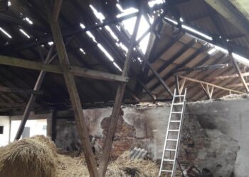 Det gik grueligt galt, da en kvinde fra Vendsyssel ville fjerne ukrudt op ad husmuren på laden. Foto: Codan Forsikring.