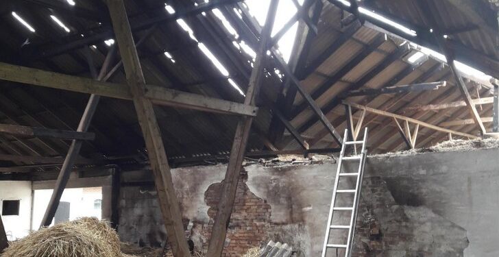 Det gik grueligt galt, da en kvinde fra Vendsyssel ville fjerne ukrudt op ad husmuren på laden. Foto: Codan Forsikring.