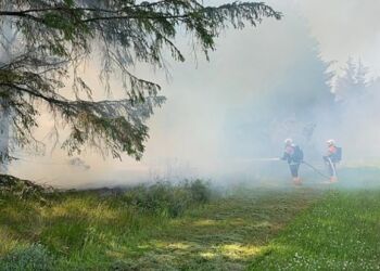 Foto (arkiv): Per Frank Paulsen.