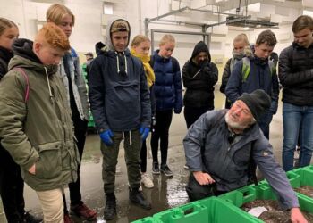 Anders Østerby fra Nordsøen Oceanarium viser rundt hos Fiskeauktion Nord i Hirtshals. Foto (arkiv): Sofie Bach.