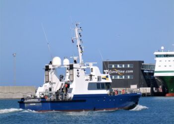 Havørnen i Hirtshals Havn. Foto: Preben Andersen.