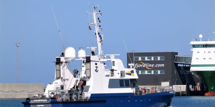 Havørnen i Hirtshals Havn. Foto: Preben Andersen.