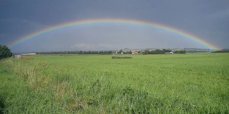 Foto (arkiv): Per Frank Paulsen.