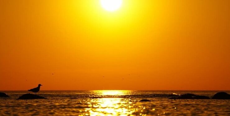 Foto: Arturs Pirazkov.