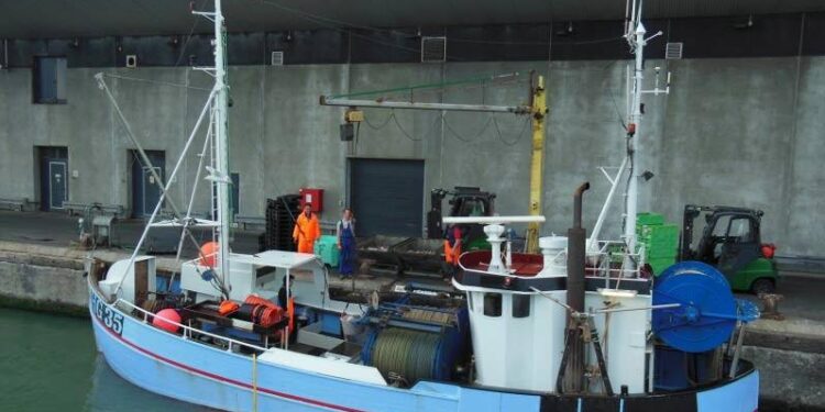 HG 35 lander fisk ved Hirtshals Fiskeauktion. Foto (arkiv): Henning Hansen.