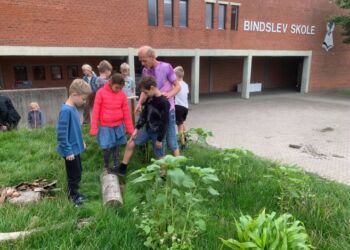 Naturkommunen er lokalt blandt andet lidt vildere ved Bindslev Skole. Foto: Arkiv.