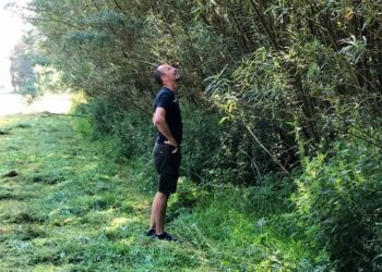 Johannes Falk i klimaskoven, der vokser på markerne omkring Villerup Hovedgaard, hvor PileByg as har sin produktion af naturstøjskærme. Foto: Arkiv.