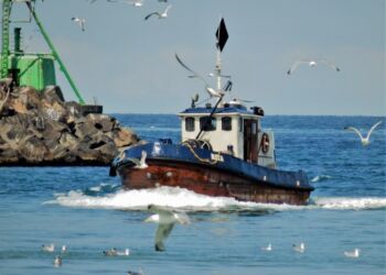 Foto: Preben Andersen.