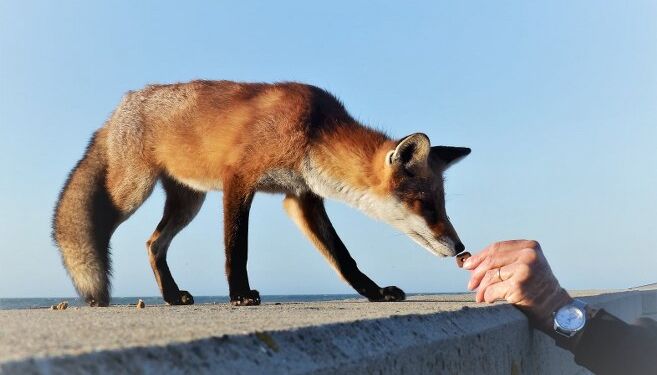 Foto: Preben Andersen.