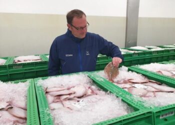 Michael Engbjerg (V) er medlem af byrådet i Hjørring Kommune.  Foto: Arkiv.