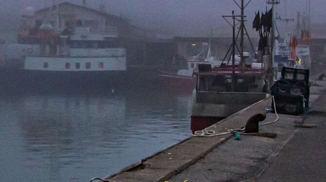 Tåge ved Vestkajen. Foto: Elling.