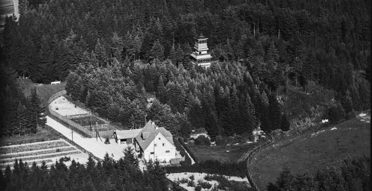 Luftfoto af skovtårnet. Foto: VHM.