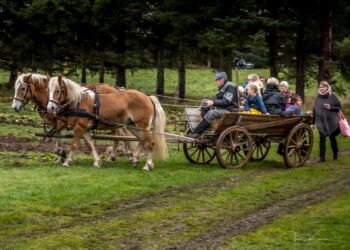 Kartoffeldagen i uge 42 er et kæmpe tilløbsstykke i Mosbjerg. Foto (arkiv): Jens Kranen Photography.