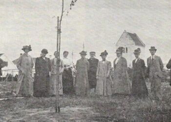 Kvindernes Eg plantet i Lunden den 5. juni 1915.