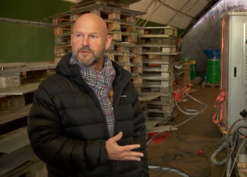 Lasse Hansen er CEO hos ME Production. Foto: TV2 Nord.