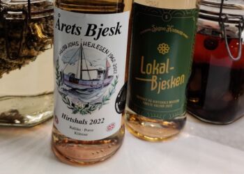 Årets Bjesk 2022 og Lokalbjesken. Foto: VHM.