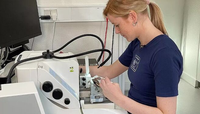 Julie Alsing Pugdal i laboratoriet, hvor der er travlt med blandt andet coronaprøver.
Foto: Robert Bedsted / TV2 Nord.