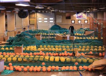 Cosmos Trawl i Hirtshals. Foto: Arkiv.