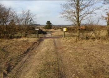 Dalager Indlandsklitter. Foto: Hjørring Kommune.