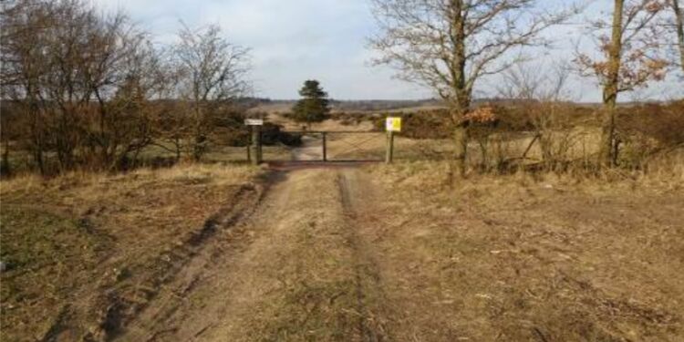 Dalager Indlandsklitter. Foto: Hjørring Kommune.