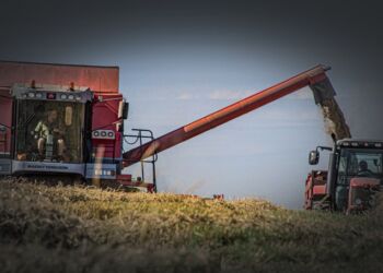 Foto (arkiv): Elling.