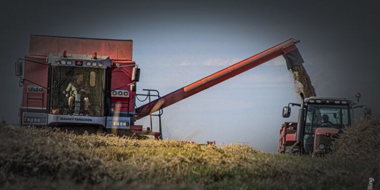 Foto (arkiv): Elling.