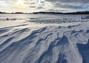 Foto: Presse-fotos.dk.