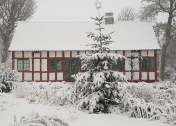 Vendsyssel Historiske Museum. Foto: Arkiv.