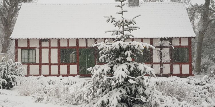 Vendsyssel Historiske Museum. Foto: Arkiv.