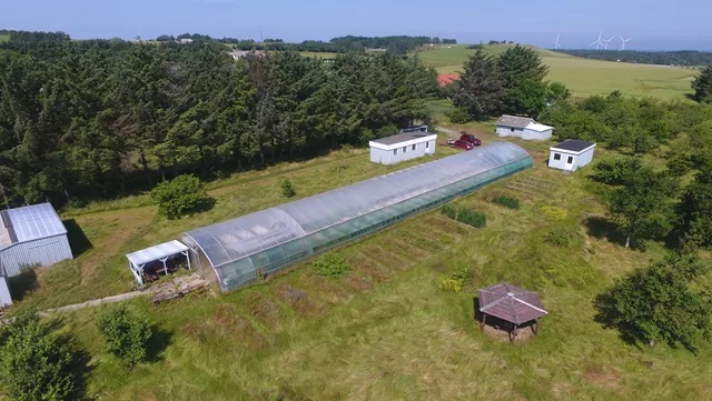 Horne Gartneri. Foto: Arkiv.