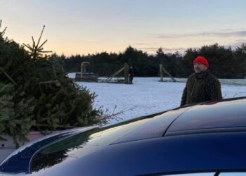 Allan tager med kyshånd imod byens brugte julteræer i Fun-Park. Foto: Arkiv.