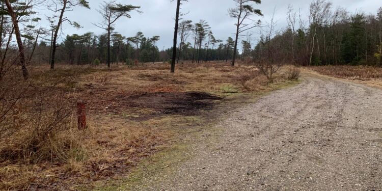 Arealet mellem godsbaneterminalen og Folkeparken. Foto: Niels Skipper.