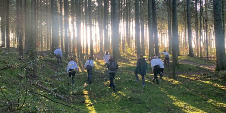 Foto: David Bering, Montgomery.