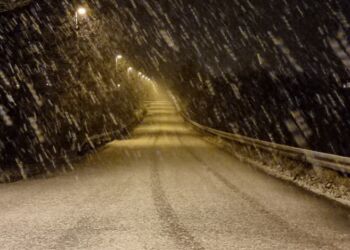 Foto (arkiv): Presse-fotos.dk.