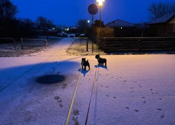 Foto: Paw Brogaard Pedersen.