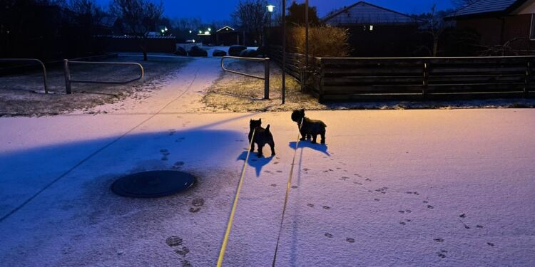 Foto: Paw Brogaard Pedersen.