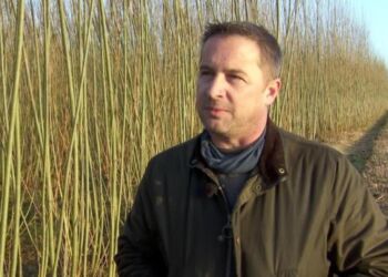 Medejer Anders Bach hos  Ny Vraa Bioenergy I/S. Foto: TV2 Nord.