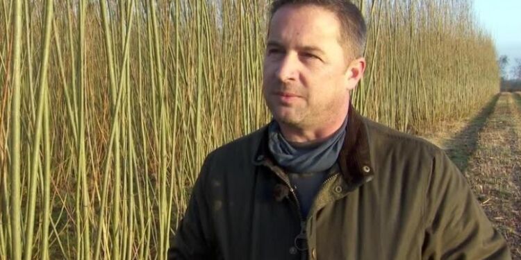 Medejer Anders Bach hos Ny Vraa Bioenergy I/S. Foto: TV2 Nord.