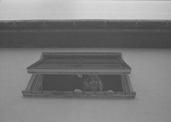 Foto: Kimberly Sarup.