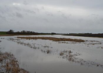 Liver Å er gået over sine bredder vest for Hjørring. Foto: Presse-fotos.dk.