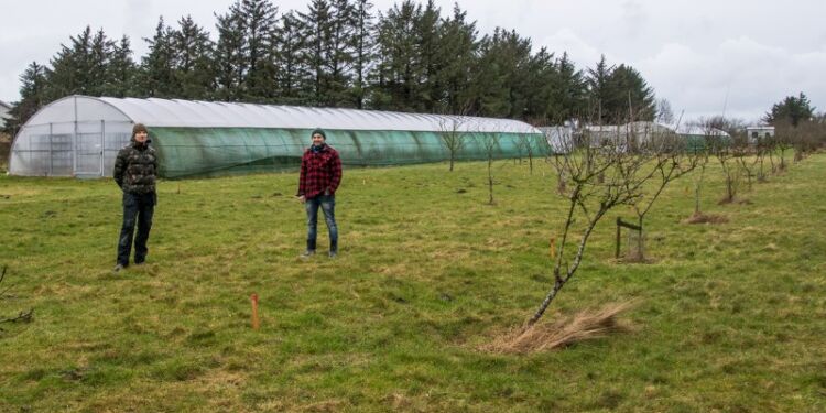 Jesper og Mads lige midt i det, der er tænkt som en sø med tilhørende vandløb...