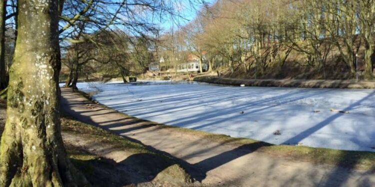 Svanelunden i Hjørring. Foto: Arkiv.